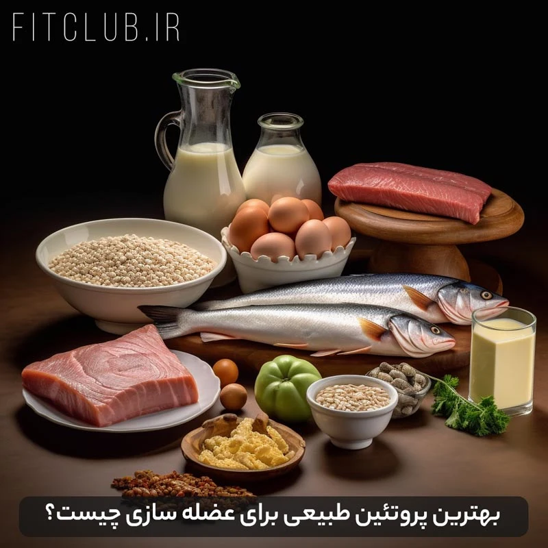 بهترین پروتئین طبیعی برای عضله سازی