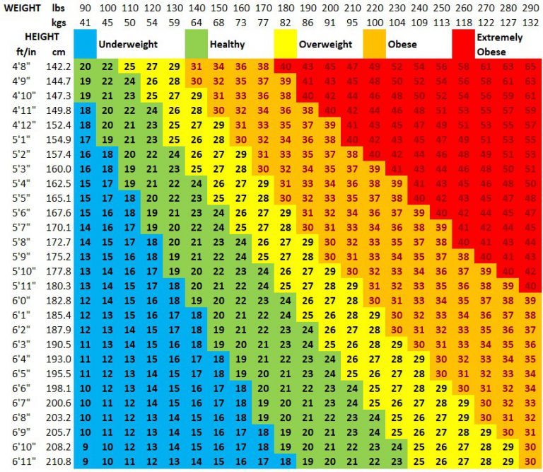 Average Bmi Chart