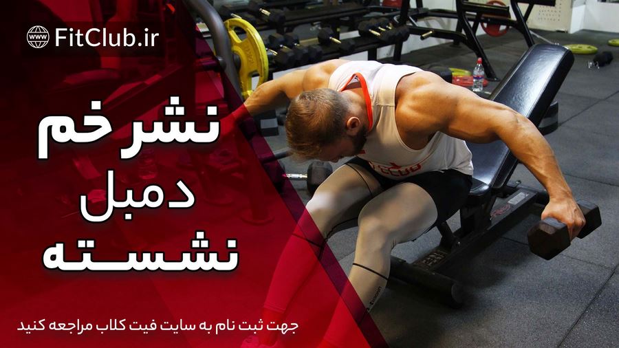 آموزش حرکت بدنسازی نشر خم دمبل نشسته