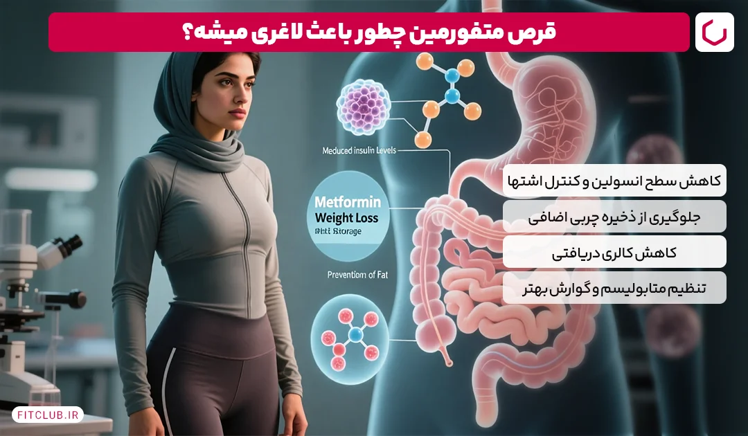 تاثیر قرص متفورمین بر لاغری، واقعا موثره؟ | فیت کلاب