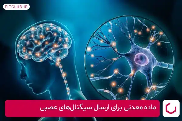 پتاسیم یک ماده معدنی مهم است که به صورت طبیعی از طریق مواد غذایی تأمین می‌شود