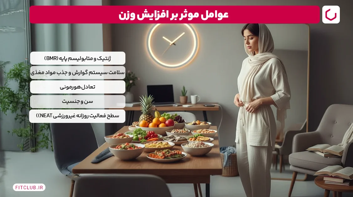 عوامل موثر بر افزایش وزن | فیت کلاب