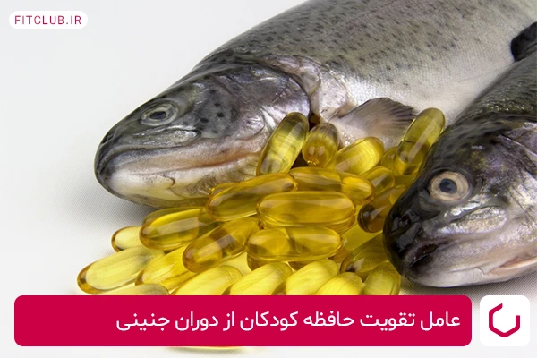 اسید چرب امگا 3 در روغن ماهی، از بهترین مواد غذایی که در بدن معجزه می‌کند