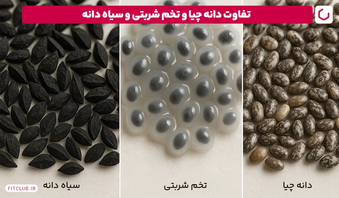 تفاوت دانه چیا و تخم شربتی و سیاه دانه|فیت کلاب