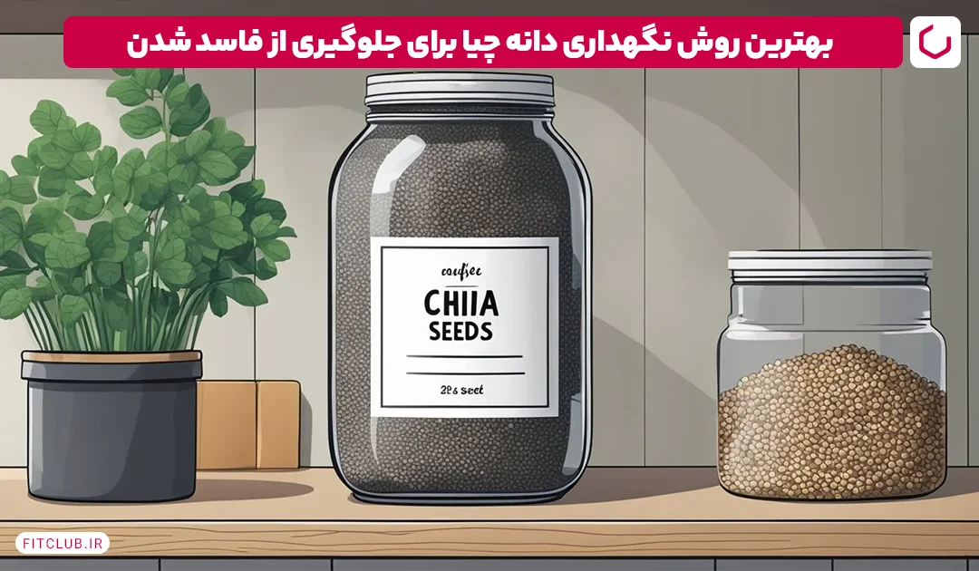 بهترین روش نگهداری دانه چیا برای جلوگیری از فاسد شدن| فیت کلاب