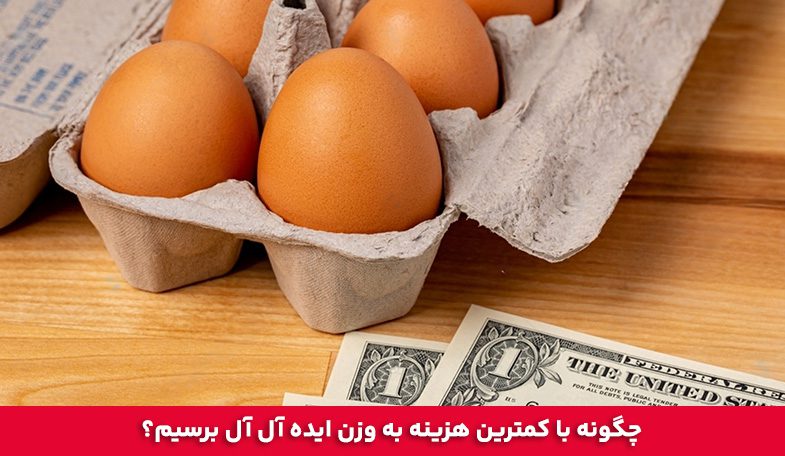 چگونه با کمترین هزینه به وزن ایده ‌آل آل برسیم؟ 