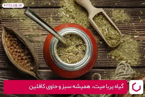 گیاه یربا میت –yerba mate