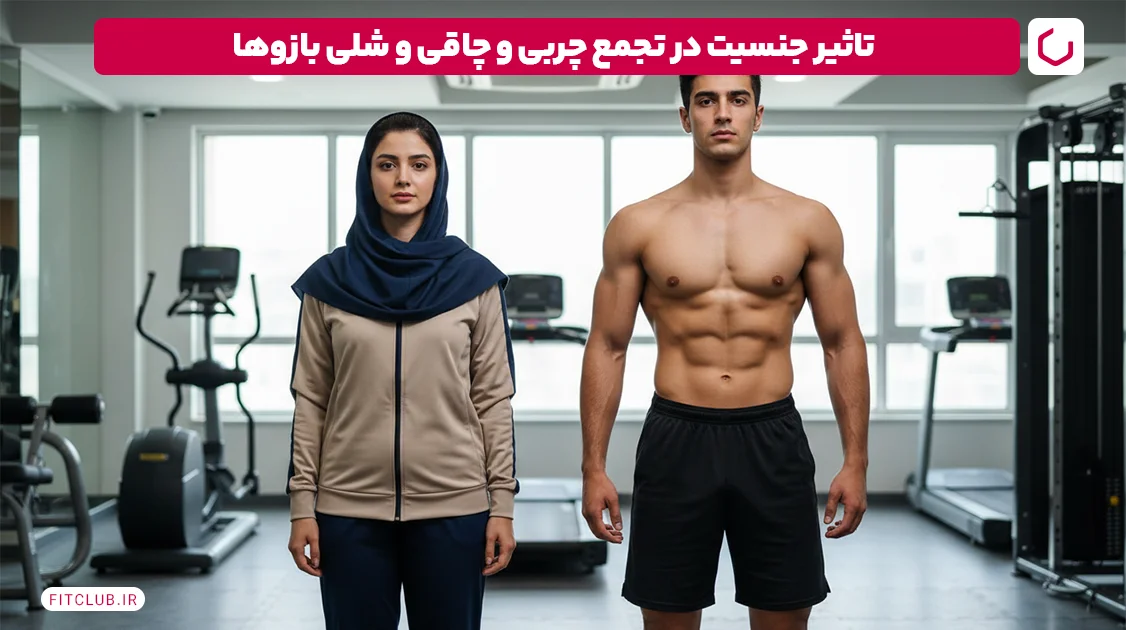 تاثیر جنسیت در تجمع چربی در بازو و کل بدن | فیت کلاب