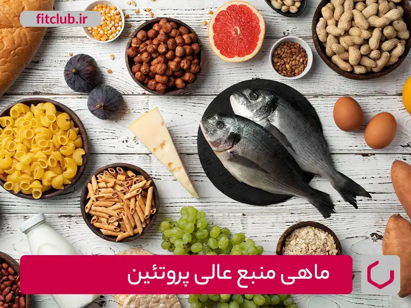 ماهی منبع عالی پروتئین