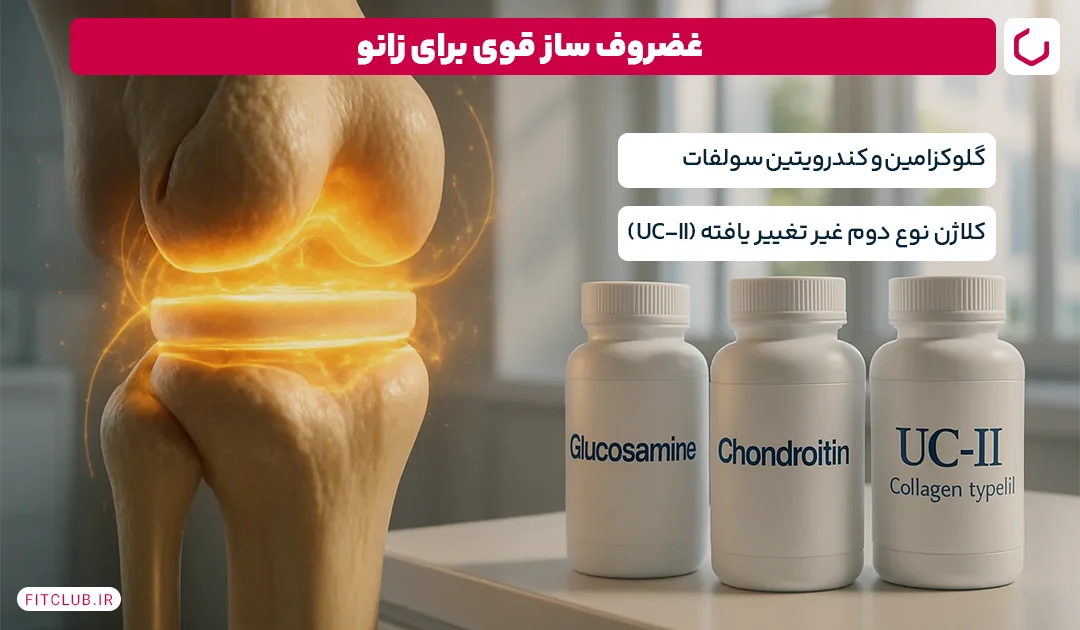 غضروف ساز قوی برای زانو، قرص غضروف | فیت کلاب