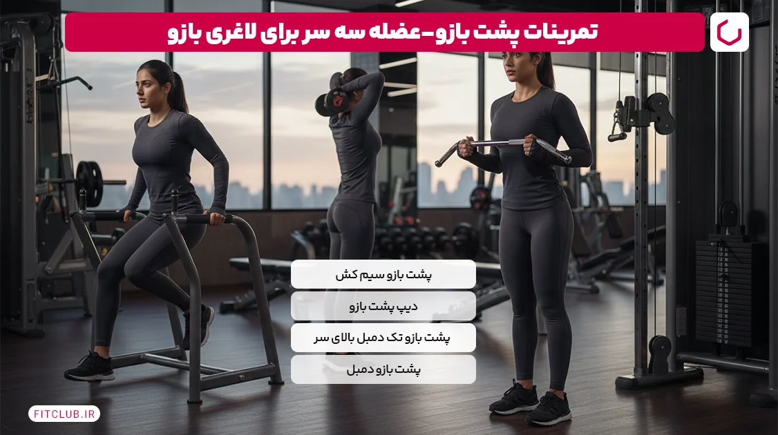 تمرینات پشت بازو-عضله سه سر برای لاغری بازو | فیت کلاب