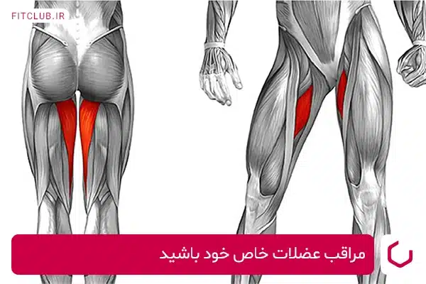 تقویت عضلات ران و افزایش استقامت آنها