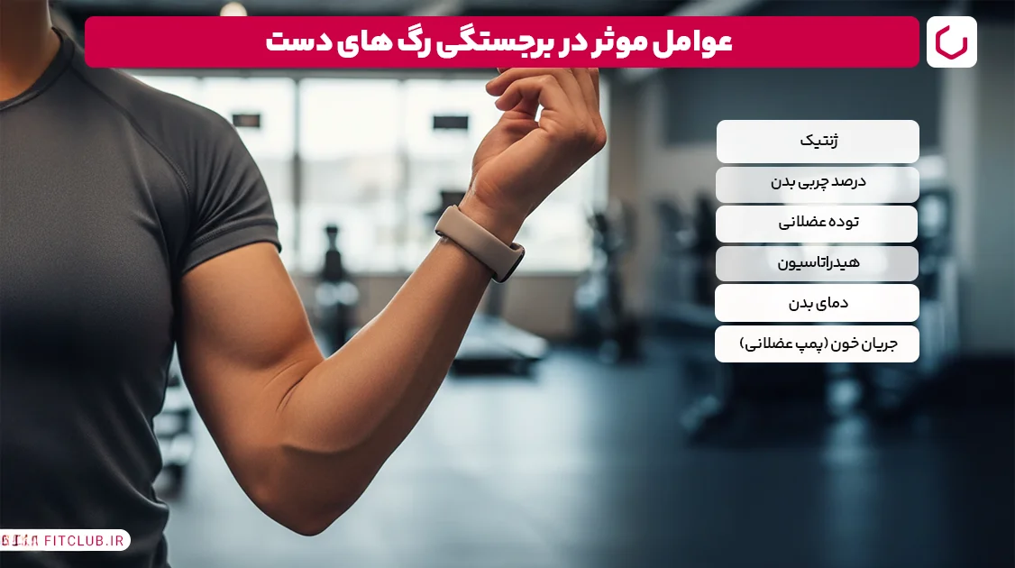 عوامل موثر در برجستگی رگ ‌های دست | فیت کلاب