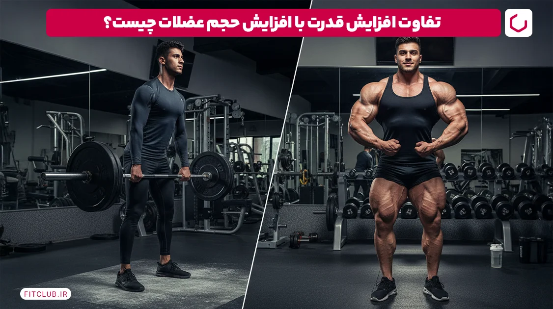 تفاوت افزایش قدرت با افزایش حجم عضلات چیست؟ | فیت کلاب