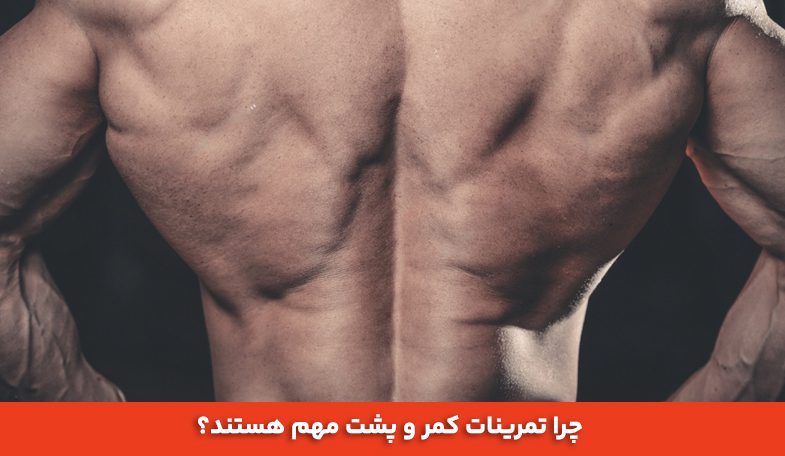 چرا تمرینات کمر و پشت مهم هستند؟ 