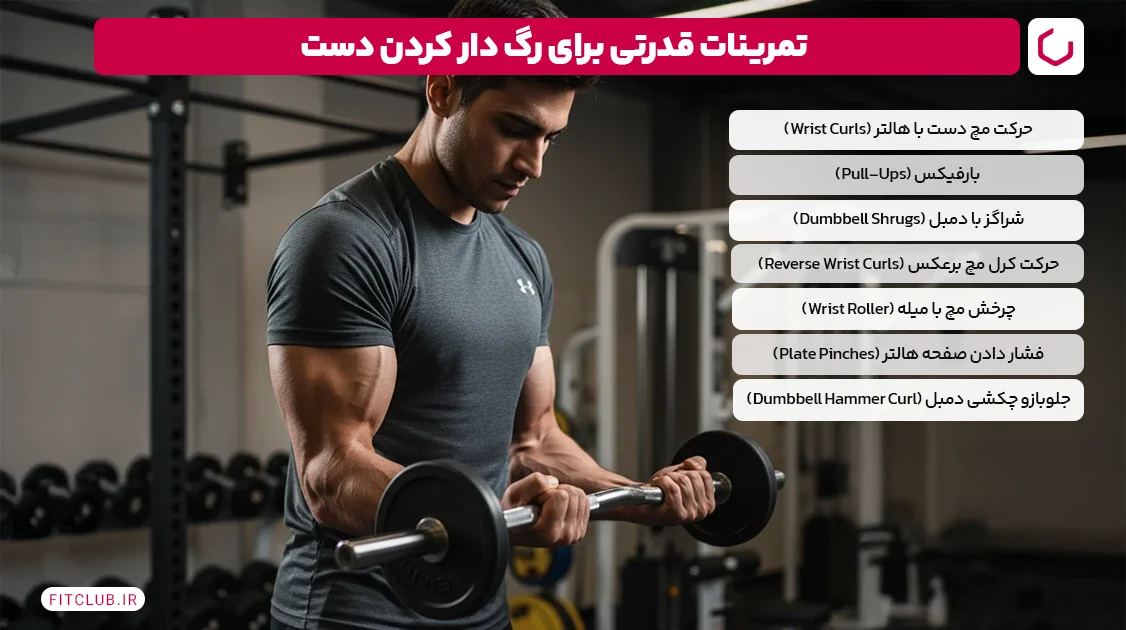 تمرینات قدرتی برای رگ دار کردن دست | فیت کلاب