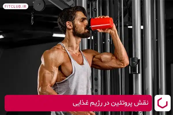 نقش پروتئین در رژیم غذایی برای حجیم کردن بازوها