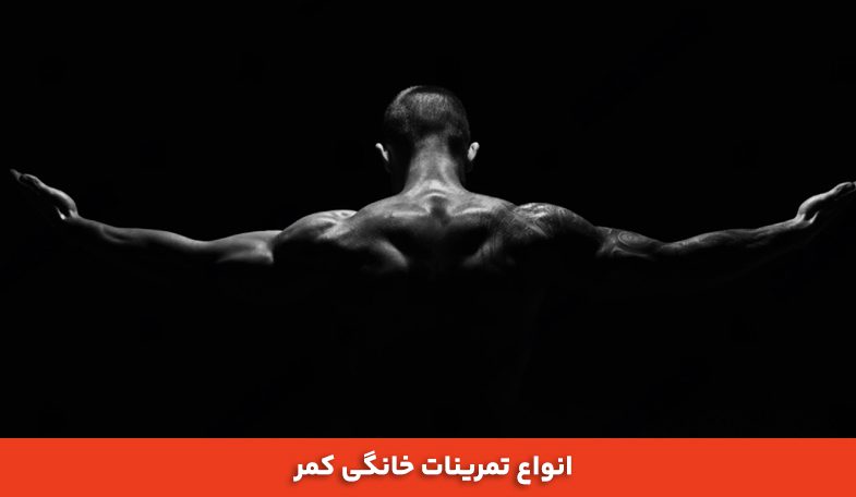 انواع تمرینات خانگی کمر