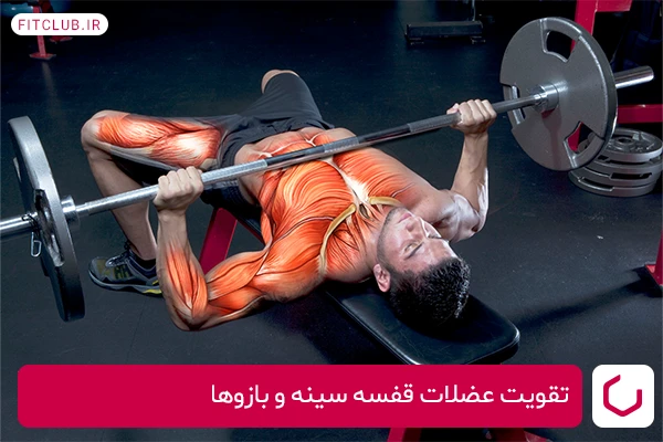 پرس سینه برای تقویت عضلات قفسه سینه و بازوها