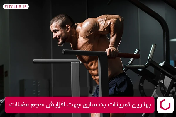 متد FST-7، یکی از بهترین تمرینات بدنسازی جهت افزایش حجم عضلات