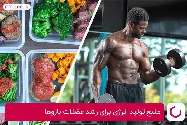 منبع تولید انرژی برای رشد عضلات بازوها