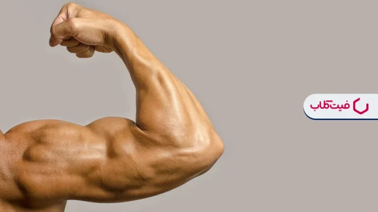 تمرینات متمرکز بر تقویت عضلات بازوها و افزایش حجم