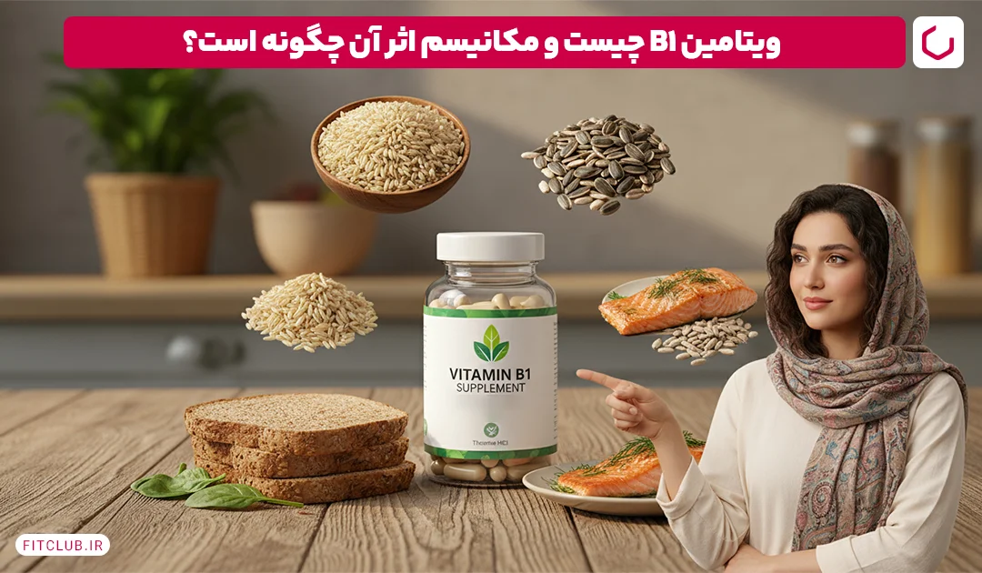 ویتامین B1 چیست و مکانیسم اثر آن چگونه است؟ | فیت کلاب