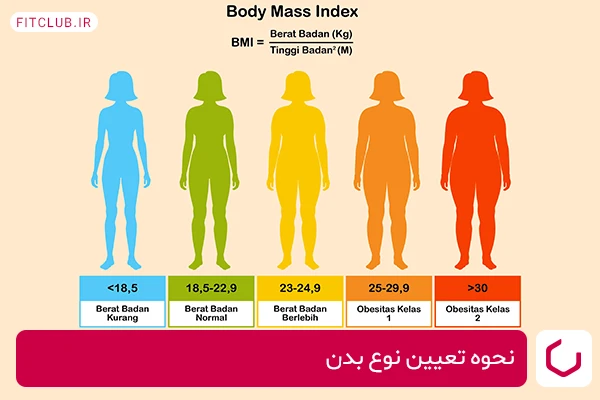 نحوه تعیین نوع بدن با استفاده از BMI