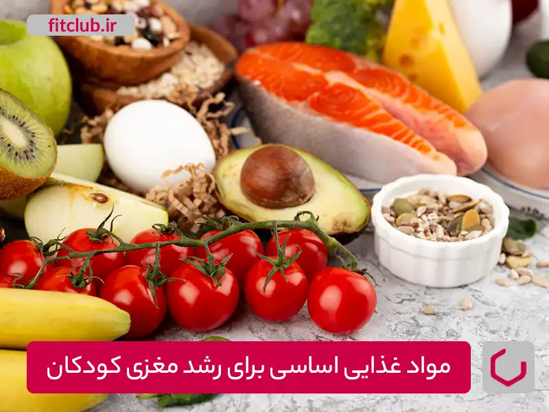 مواد غذایی اساسی برای رشد مغزی و توسعه حافظه کودکان