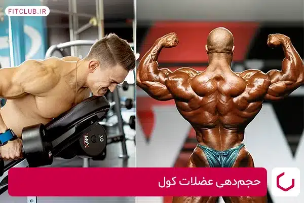 تمرینات بدنسازی برای حجم‌دهی عضلات کول