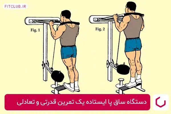 تمرینات پا همراه با دستگاه ساق پا ایستاده برای تقویت عضلات