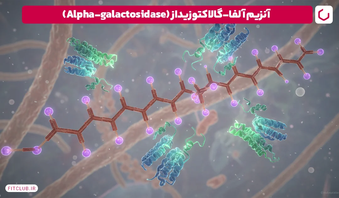 داروی نفخ شکم آنزیم آلفا-گالاکتوزیداز (Alpha-galactosidase) | فیت کلاب