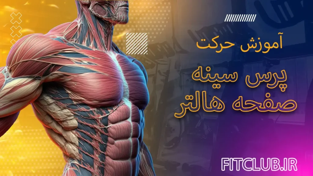 آموزش حرکت ورزشی پرس سینه صفحه هالتر