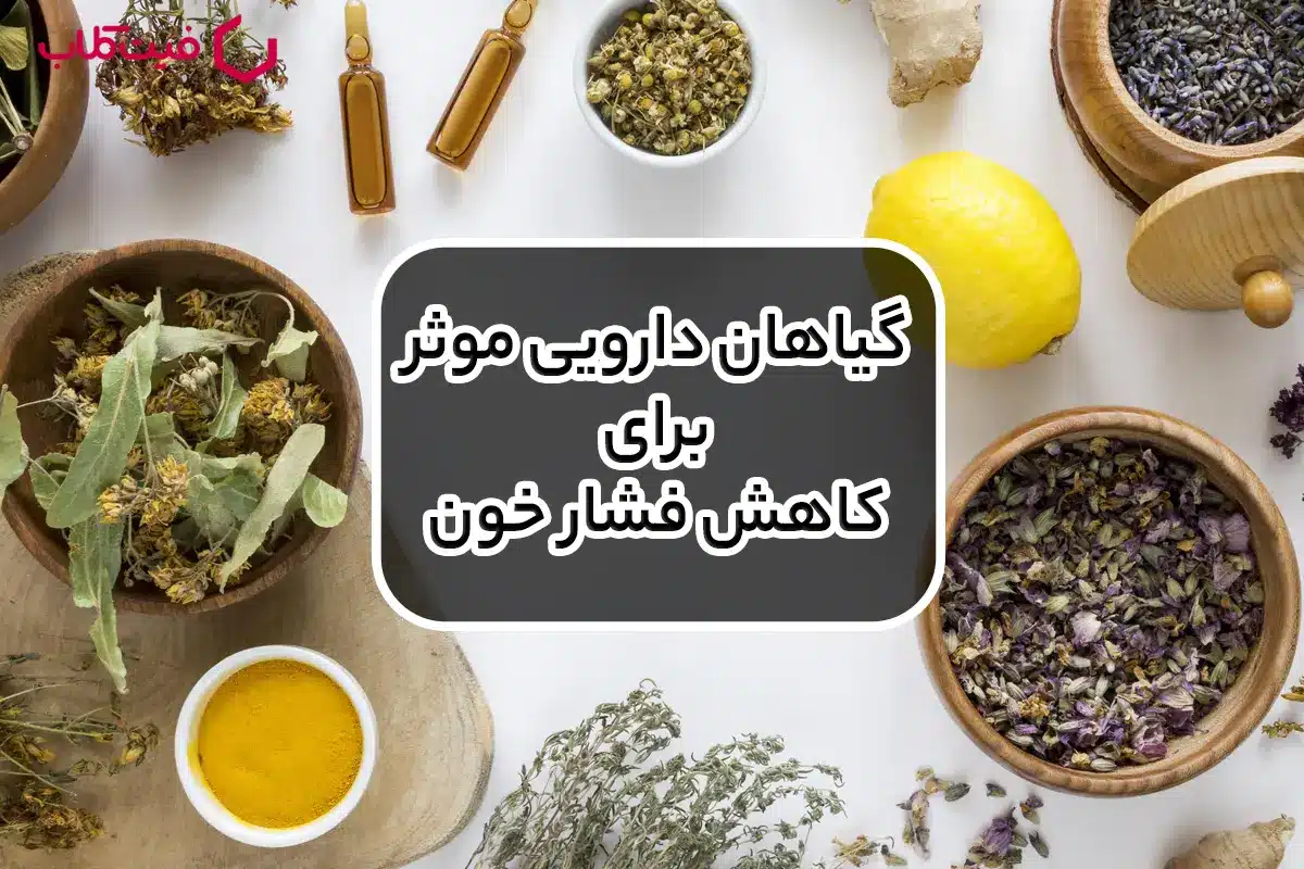 گیاهان دارویی موثر برای کاهش فشار خون