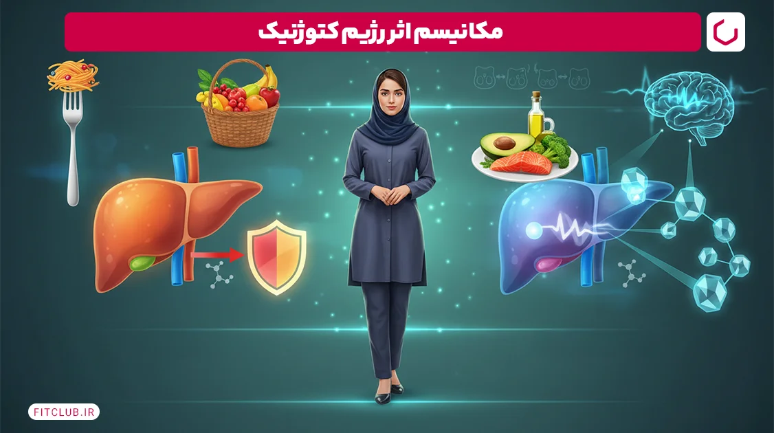 مکانیسم اثر رژیم کتوژنیک؛ بدن شما در حالت کتوزیس چگونه کار می کند؟ | فیت کلاب