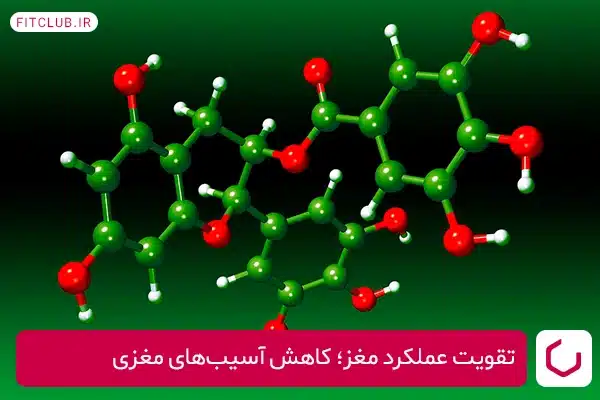 تقویت عملکرد مغز از خواص چای سبز