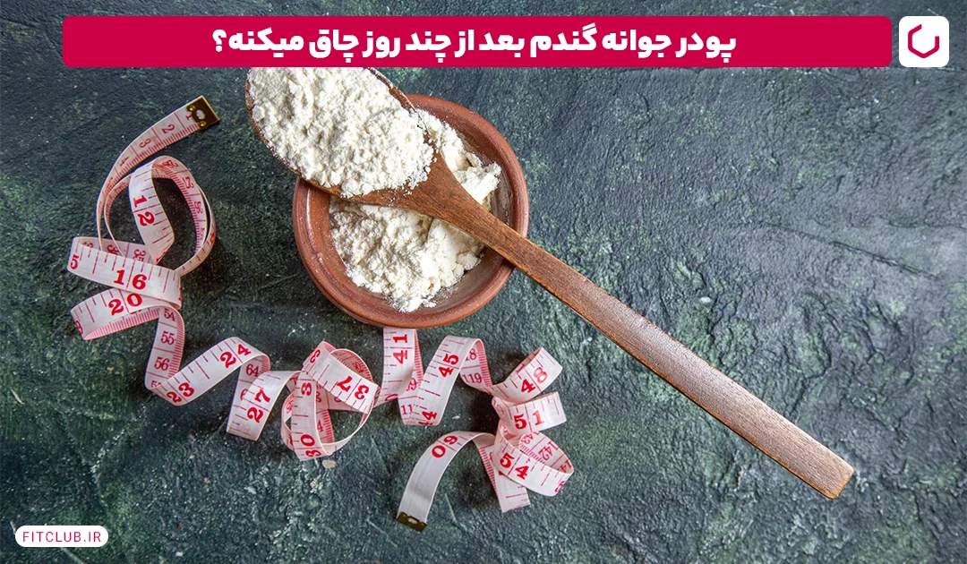 پودر جوانه گندم بعد از چند روز چاق میکند؟| فیت کلاب