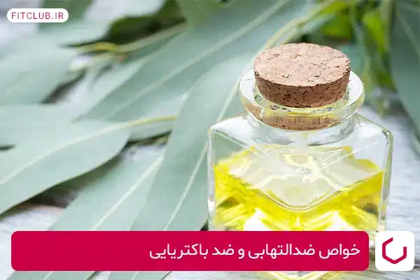 خواص ضد درد اکالیپتوس برای درمان دیسک کمر