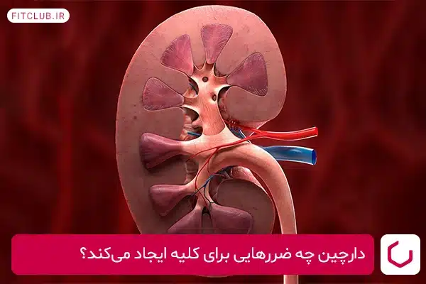 عوارض دارچین برای کلیه