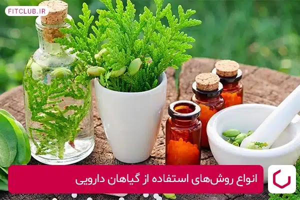 انواع روش‌های استفاده از گیاهان دارویی برای درمان نفخ معده