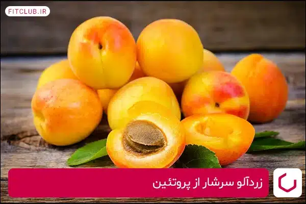 زردآلو نمونه‌ای از میوه‌های سرشار از پروتئین