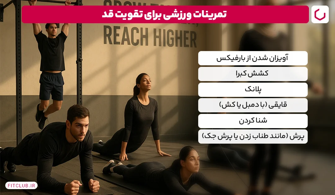 تمرینات ورزشی برای رشد قد، تمرینات افزایش قد| فیت کلاب
