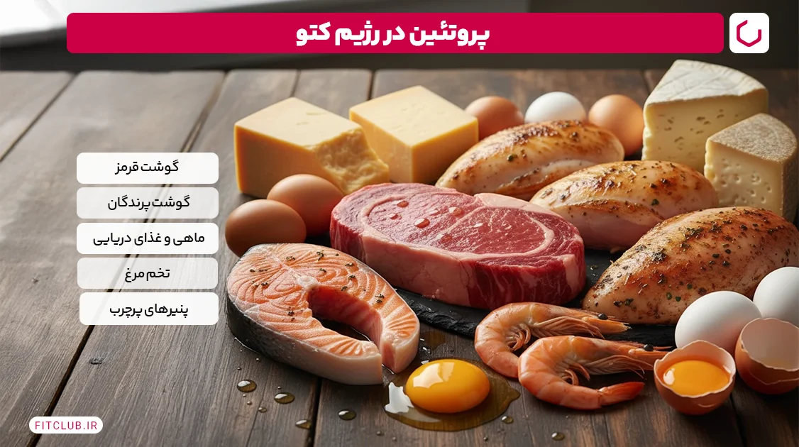 پروتئین در رژیم کتو | فیت کلاب