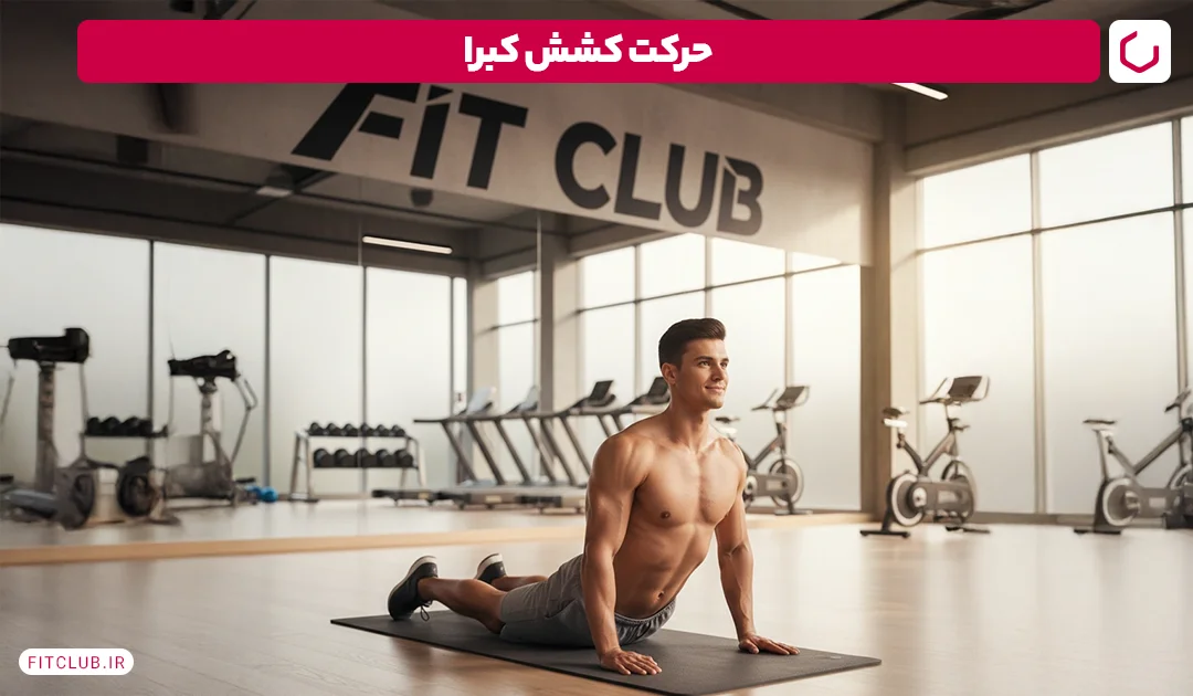 کشش کبرا (Cobra Stretch)| فین کلاب