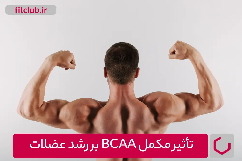 تأثیر مکمل BCAA بر رشد عضلات