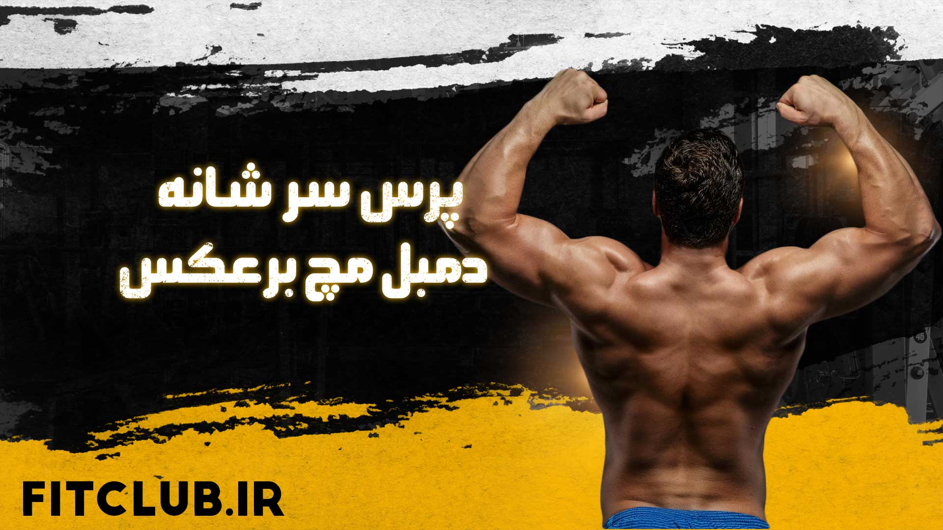 آموزش حرکت ورزشی پرس سر شانه دمبل مچ برعکس