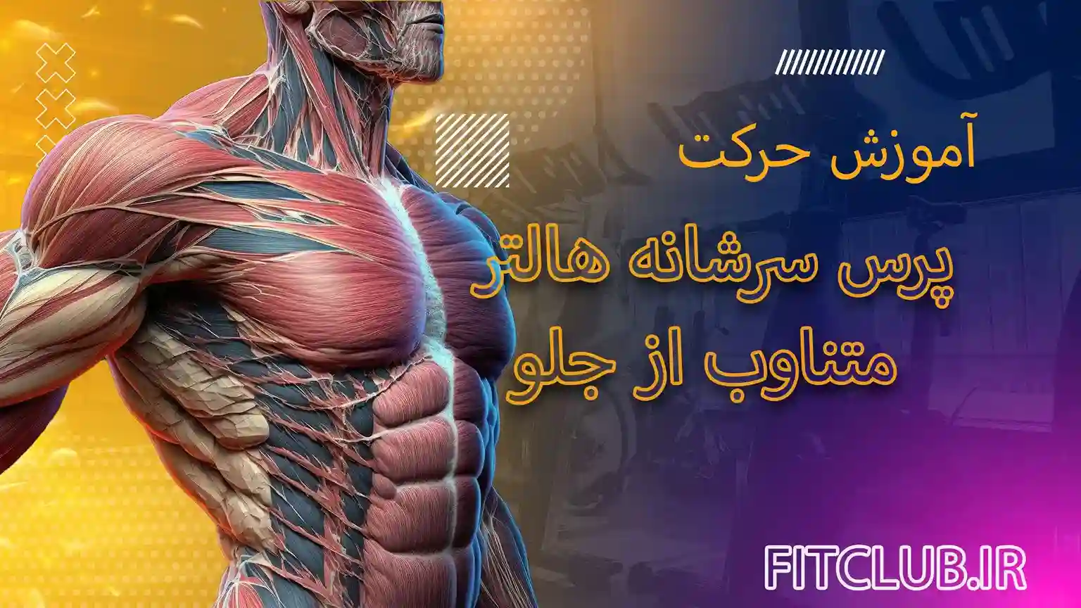 آموزش حرکت ورزشی پرس سرشانه هالتر متناوب از جلو