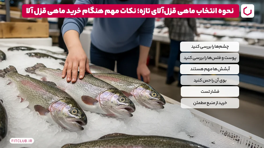 نحوه انتخاب ماهی قزل‌آلای تازه؛ نکات مهم هنگام خرید ماهی قزل آلا | فیت کلاب