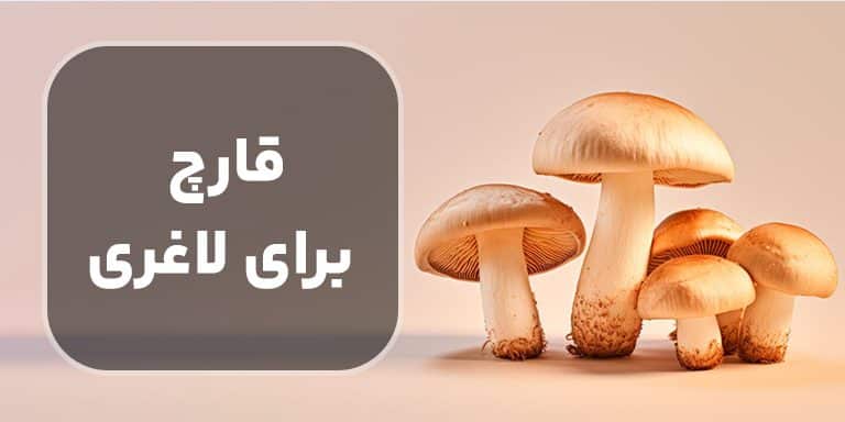 قارچ برای لاغری ؛ معرفی انواع قارچ بهترین روش پخت آن برای لاغری