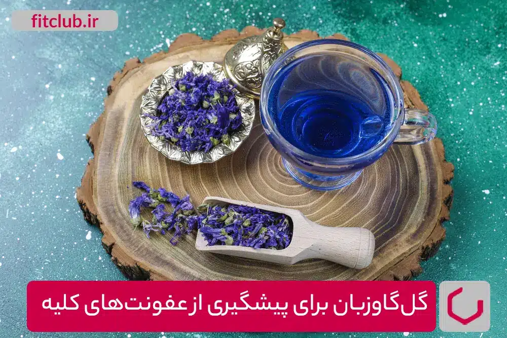 گل‌گاوزبان برای پیشگیری از عفونت‌های کلیه